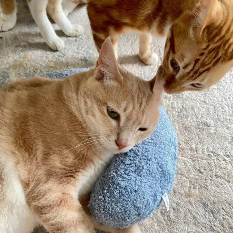 Description Picture 3 of itemCat specific small pillows for pets, dogs, and cats U-shaped pillows, sleeping pads, cat blankets, and warm pet products