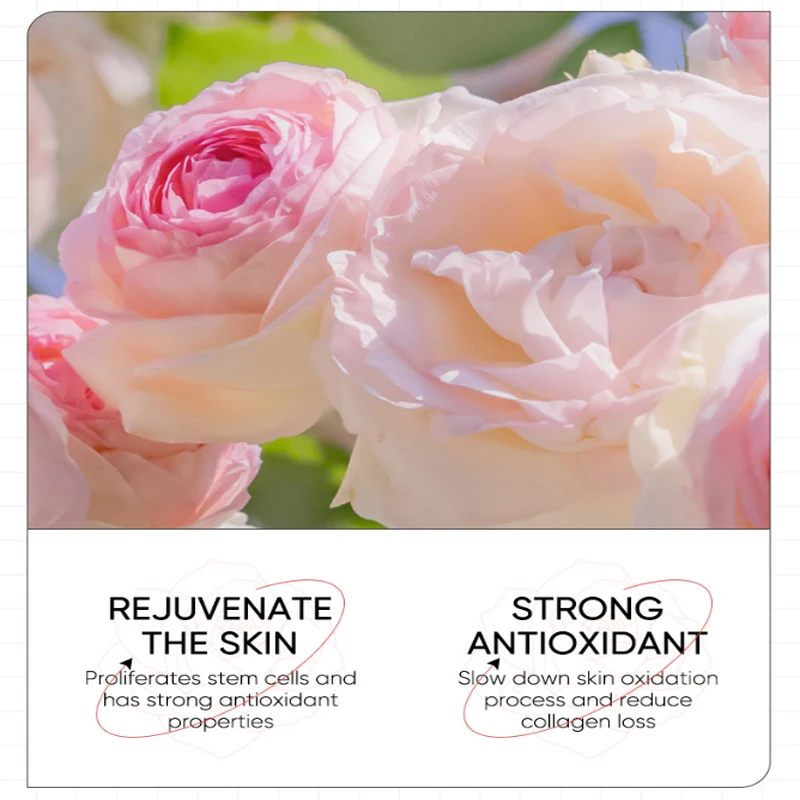 Slide image 4226a98c78a844838c5c265d94fe814f