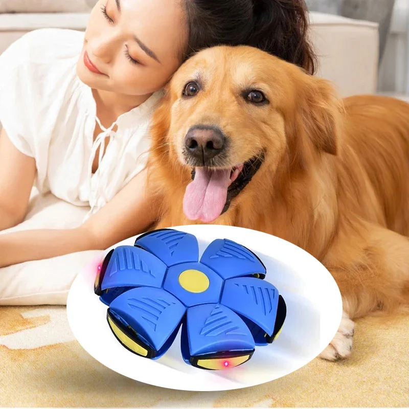 Description Picture 3 of itemDog Flying Disk Toy Saucer Ball Anti-Chew Dog Interactive Training Dog Training Equipment Dog's Play Flying DISC Pet Supplies