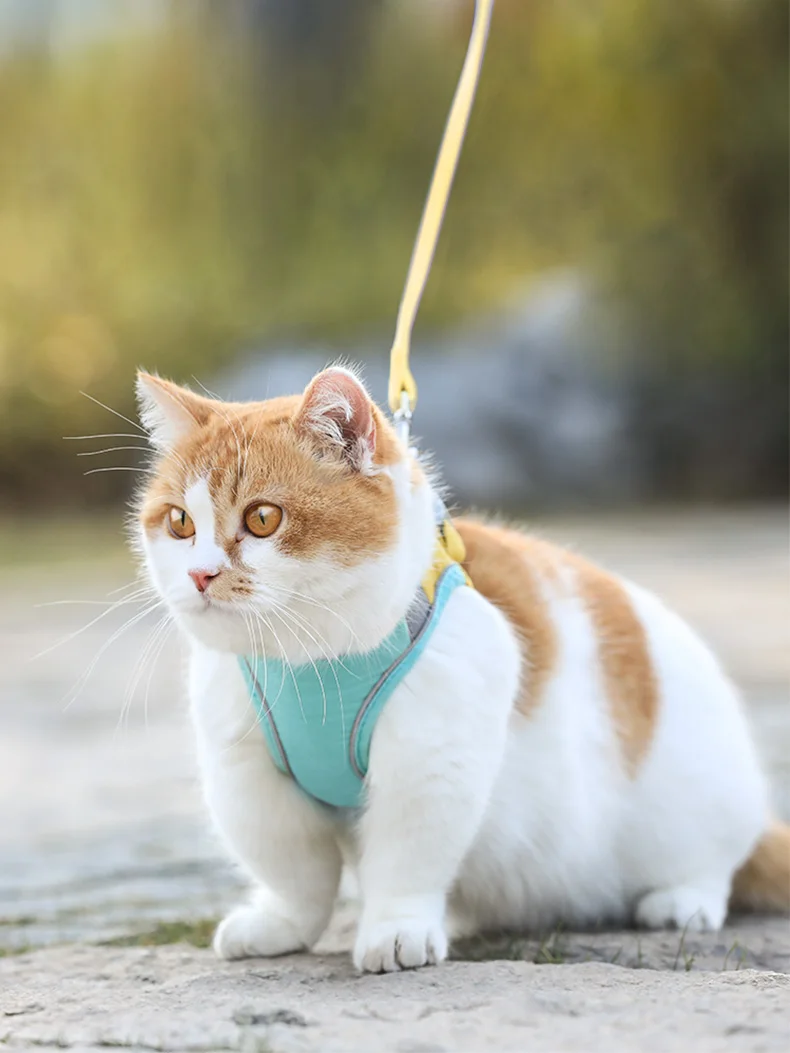 Description Picture 5 of itemHOOPET Outdoor Cat Leash Vest Mesh Breathe Adjustable Harnesses For Dogs Harnes Chest Braces Leads Vest Cat Waterproof Collar