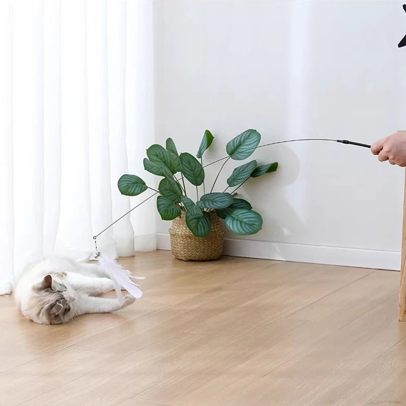 Slide image 94f00428357f462a9f521d41c3400a03