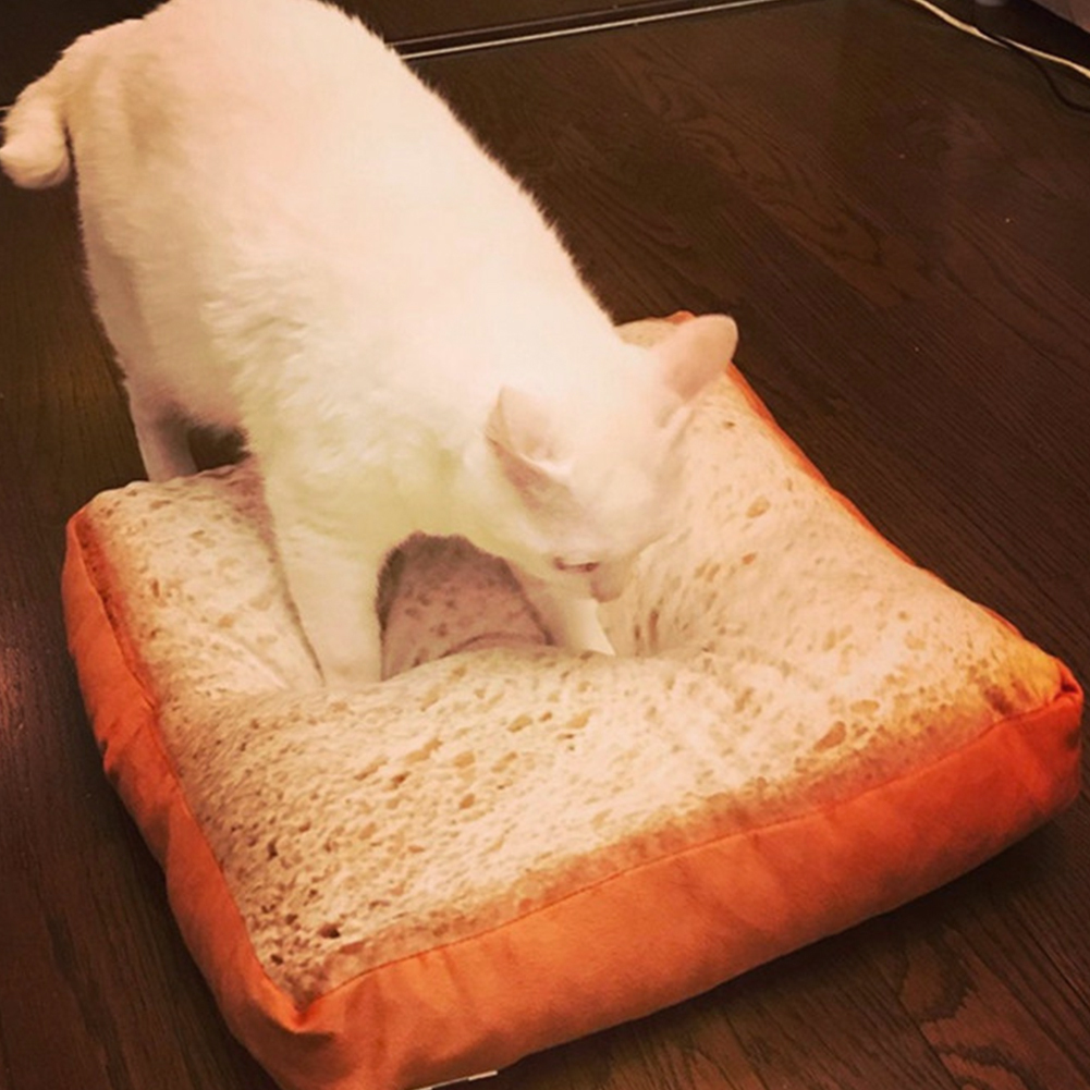 toast cat bed