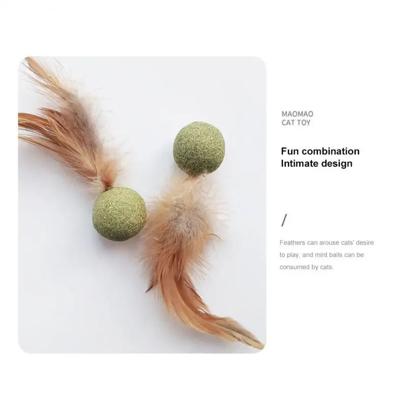 Feather Toy Catnip Ball Teeth Cleaning Hair Removal Ball Cat Snack Funny Interactive Cat Grass Health Stomach Pet Cat Supplies