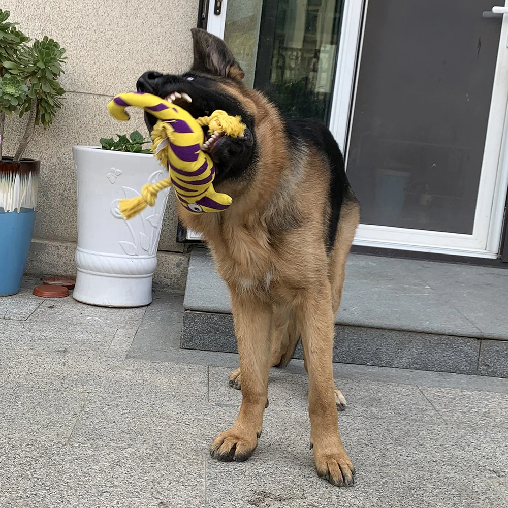 Slide image e7daee85789c4f25b910aacd8b6e6404