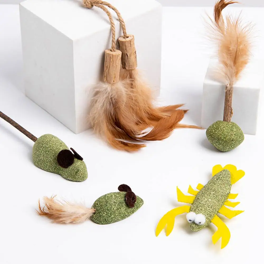 Catnip Cat Grass Chew Toy To Remove Hair Ball Molar Rod Mouse Chicken Feather Edible Cat Toy Tooth Cleaning Pet Toy Supplies