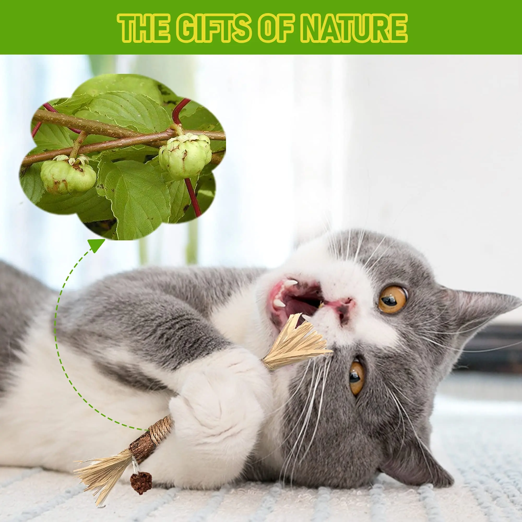 Description Picture 5 of itemNatural 4in1 Catnip Toys, Cat Teeth Cleaning Chew Toy for Indoor Interactive Cats, Silvervine Cat Snacks Relaxed Toy