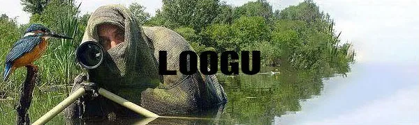 Description Picture 3 of itemCamouflage Netting Tactical Mesh Net Camo Scarf for Wargame Sports Hunting Shooting Wild Photography Sniper Camo Mesh Scarves