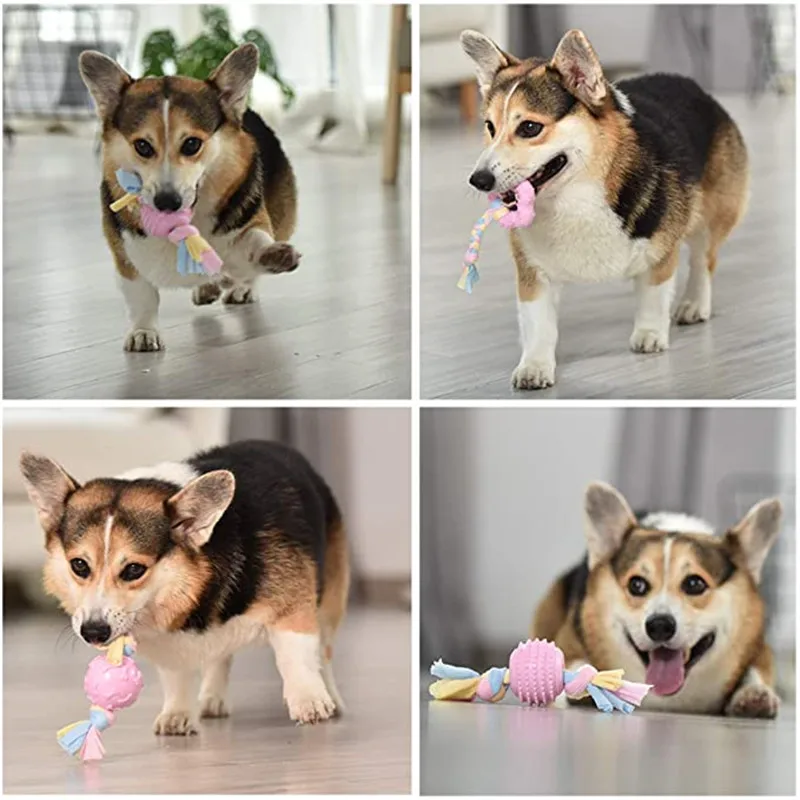 Description Picture 3 of itemChihuahua - Toys Puppy Teething Chew Toys Cleaning Dog TPR Toys Dog Toys for Small Dogs French Bulldog Accessories