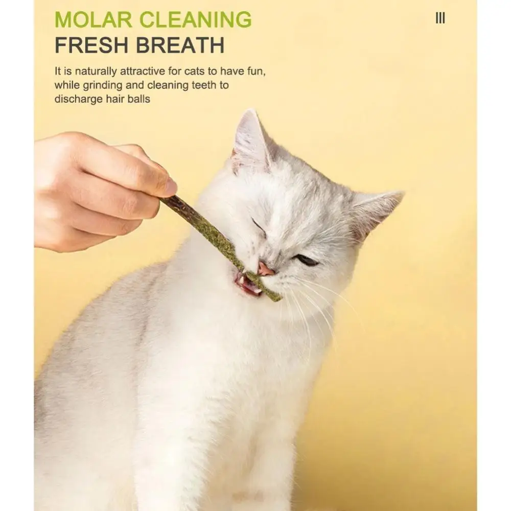 Description Picture 4 of item6 Sticks/box Cat Chews Products All Natural Catnip Sticks Wood Tengo Molar Sticks Teeth Cleaning Cat Sticks for Cats of All Ages