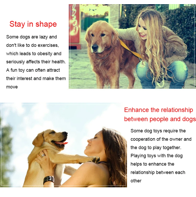 Description Picture 3 of itemPet Dogs Cotton Rope Chew Toys Puppy Small Cats Anti Biting Interactive Training Knot Dogs Molar Cleaning Teeth Accessories