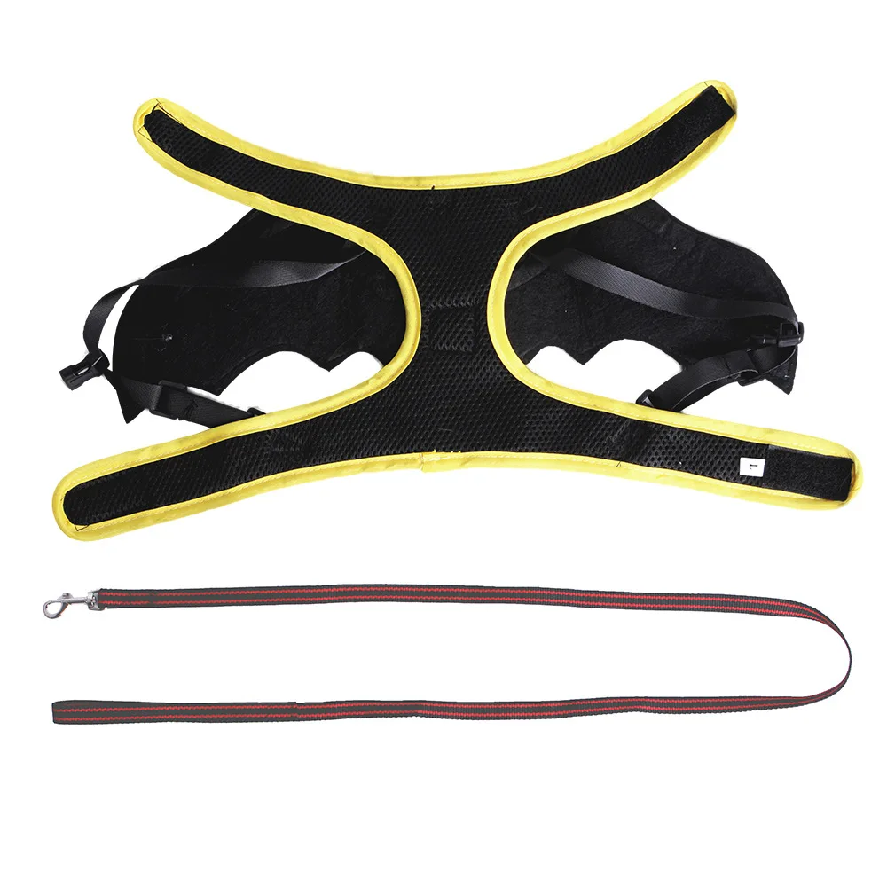 Cat Halloween Cat Costume Bat Wings Eyes Pet Harness Leash for Small Dog Funny Cat Cosplay Prop Christmas Costume