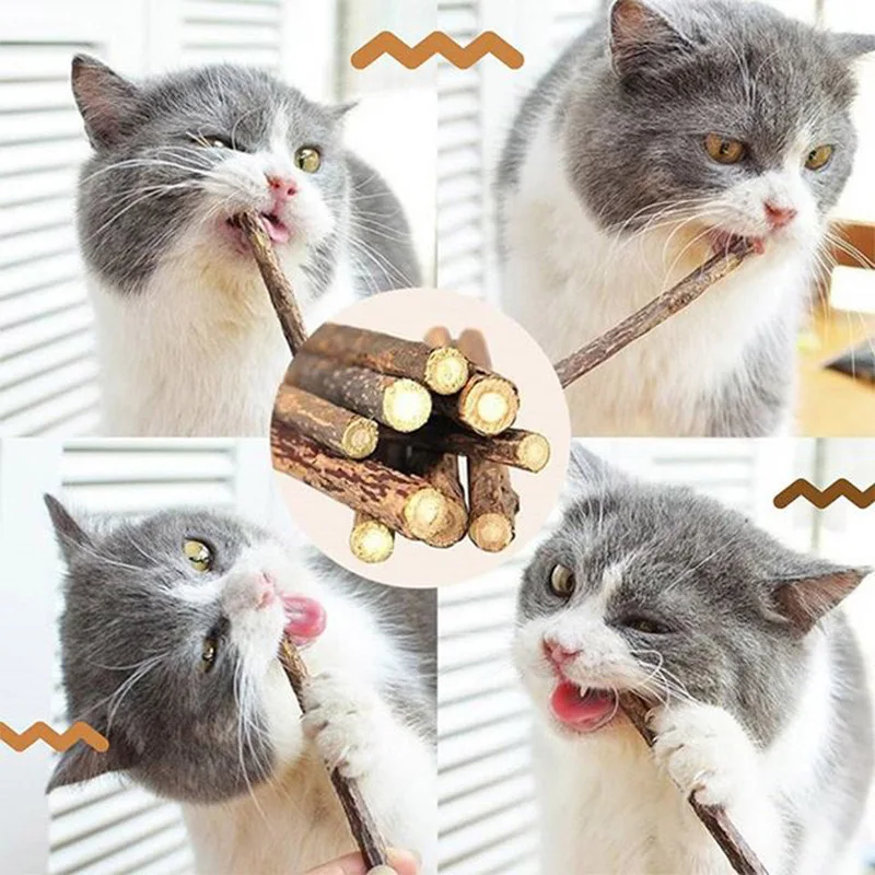 5/10pcs Natural Matatabi Cat Stick Mint Caught Bite Excited Rods Silvervine For Cat Teeth Cleaning Treating Pet Cat Toys
