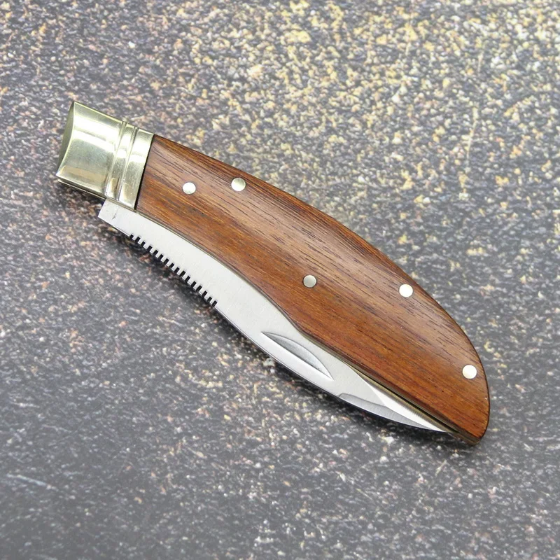 Slide image 378bd49482414bd69e397a2631102551