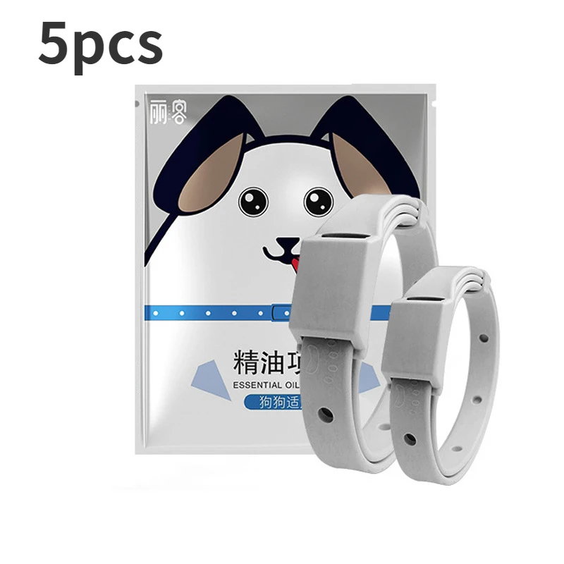 dog-5pcs