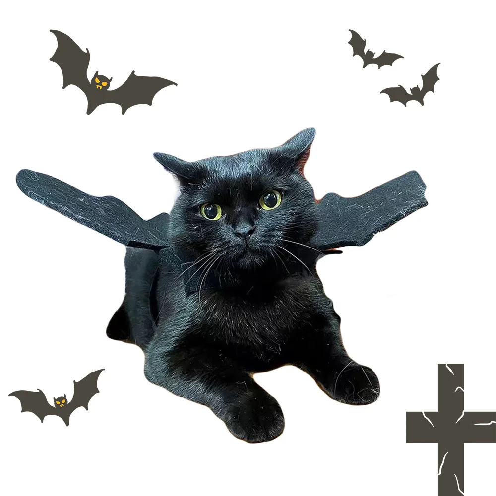 Halloween adorable Cat Costume spooky cat costume.