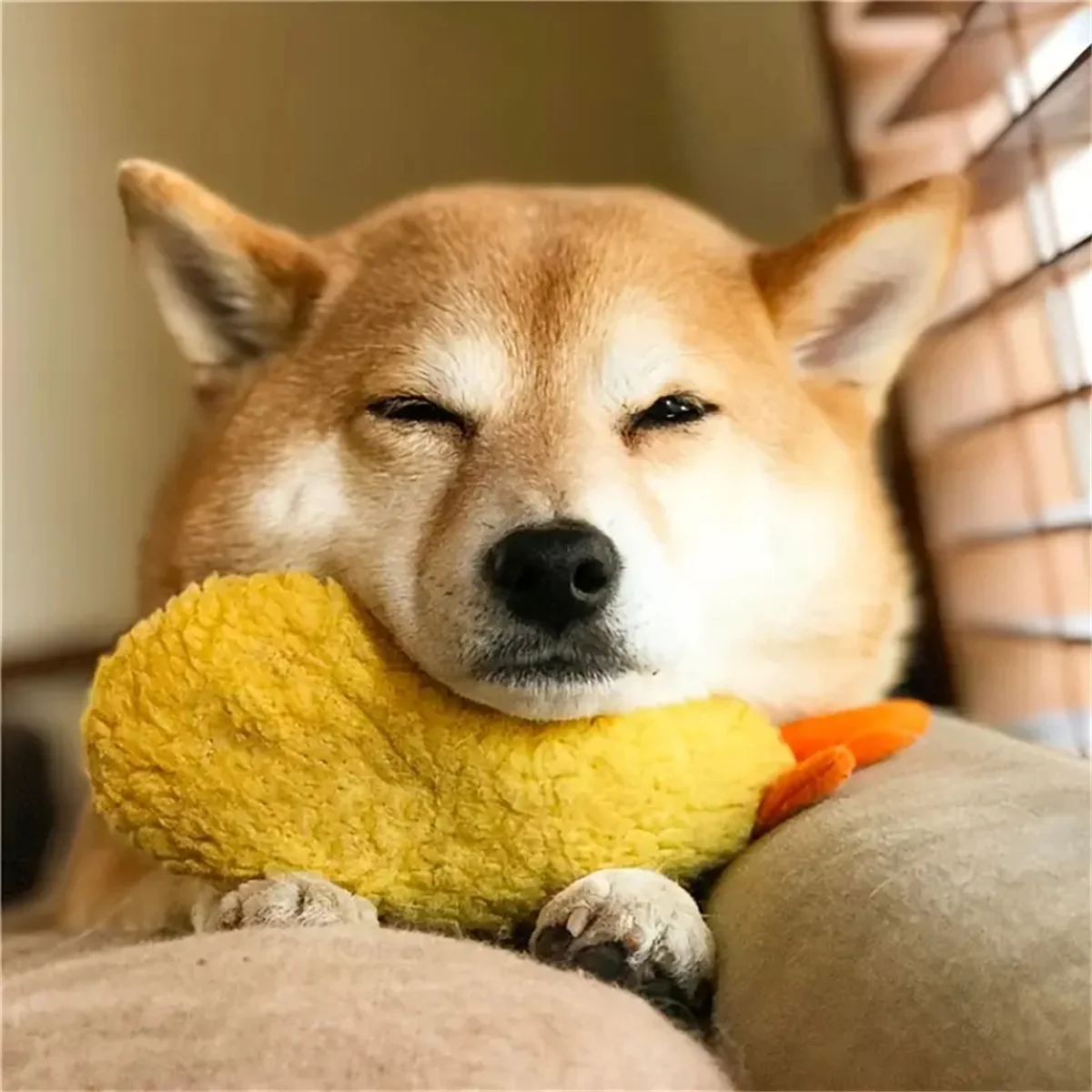 Description Picture 3 of itemFried Shrimp Tempura Dog Pet Chew Bite Squeaky Toy Cute Stuffed For Puppy Play Terrier Hond Shiba Yorkshire Corgi