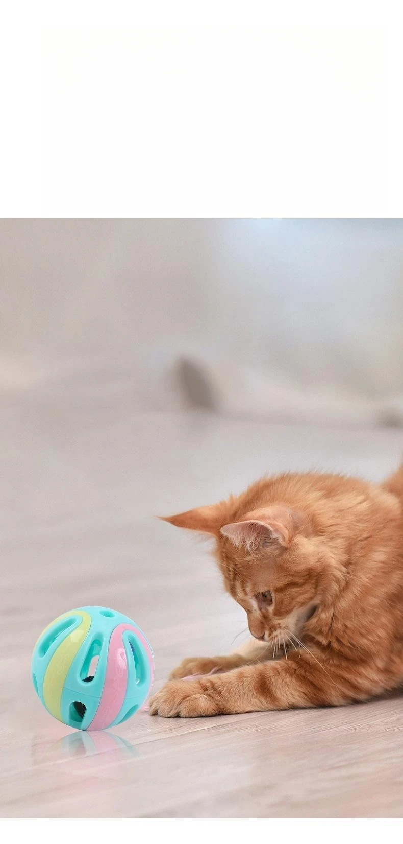 Description Picture 6 of itemCat toy plaid ball with bell Erle bulk pet plastic bell toy
