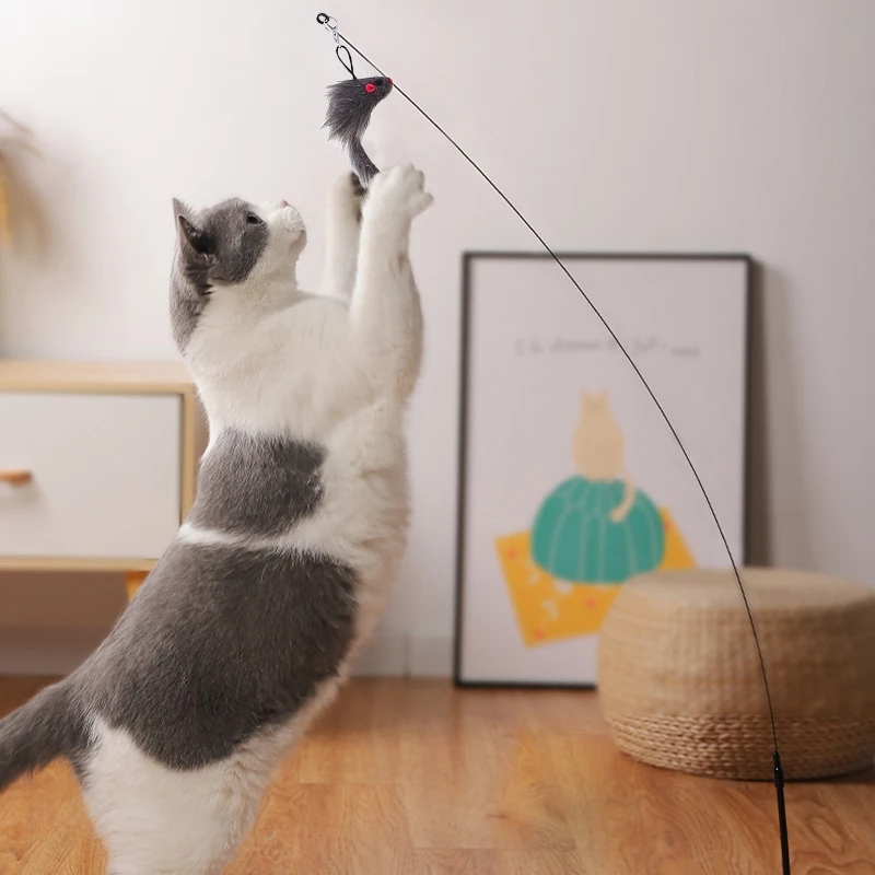 Slide image afbc3989c0b744f986431d999c7266f8