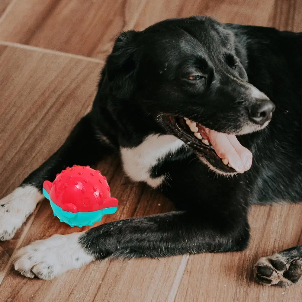 Description Picture 3 of itemSqueaky Dog Ball Toys Sounding Interactive Ball Dog Toy Fun Irregular High Bouncing Ball For Dogs Puppies Comfortable To Bite