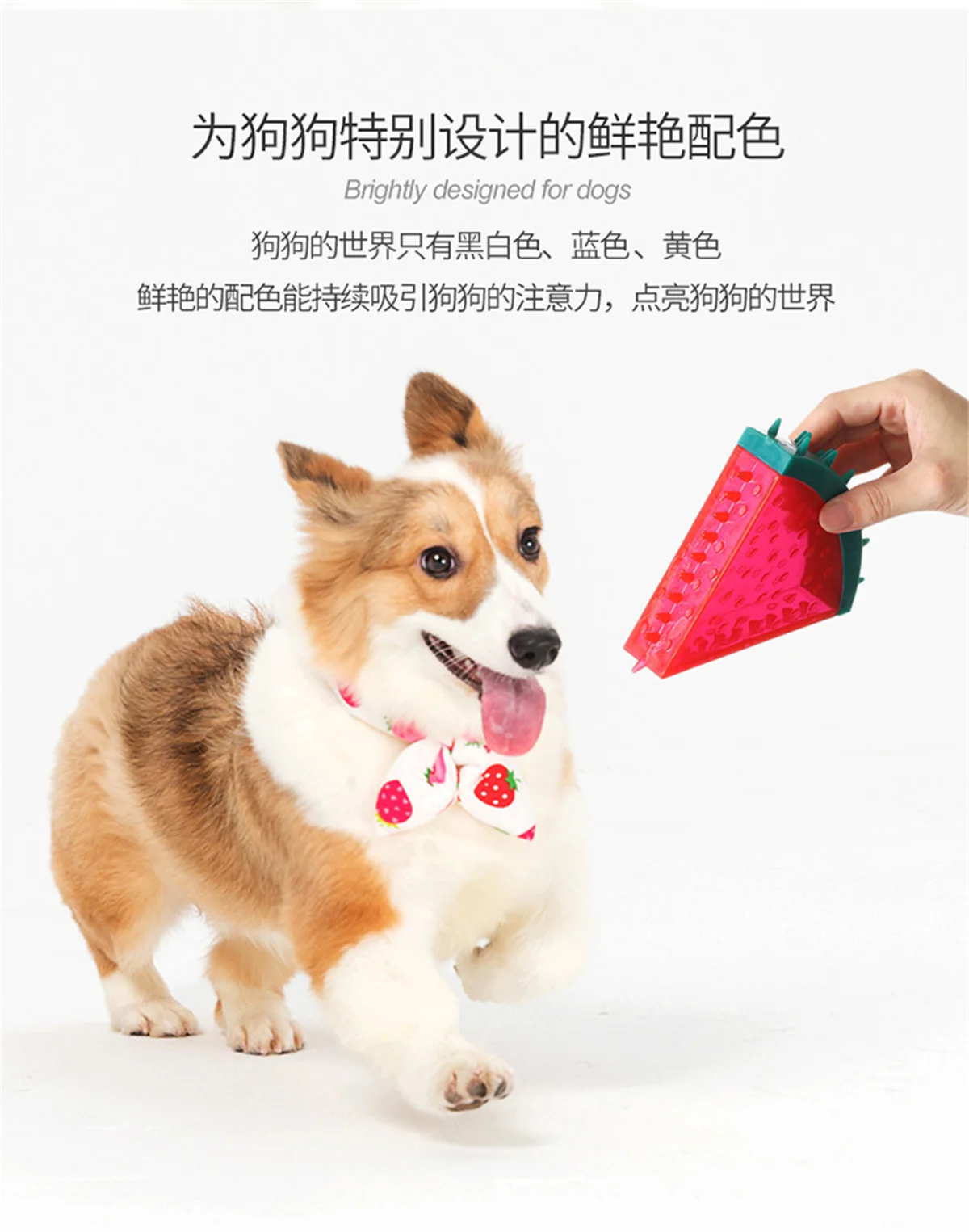 Description Picture 5 of itemPet Cooling Chew Toy Reusable Dog Cooling Toy Teething Summer Cooling Dog Toy Durable Summer Dog Ice Toy Frozen Fruit Shape Toy