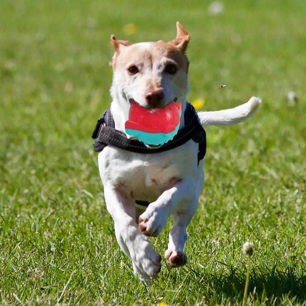 Description Picture 4 of itemSqueaky Dog Ball Toys Sounding Interactive Ball Dog Toy Fun Irregular High Bouncing Ball For Dogs Puppies Comfortable To Bite