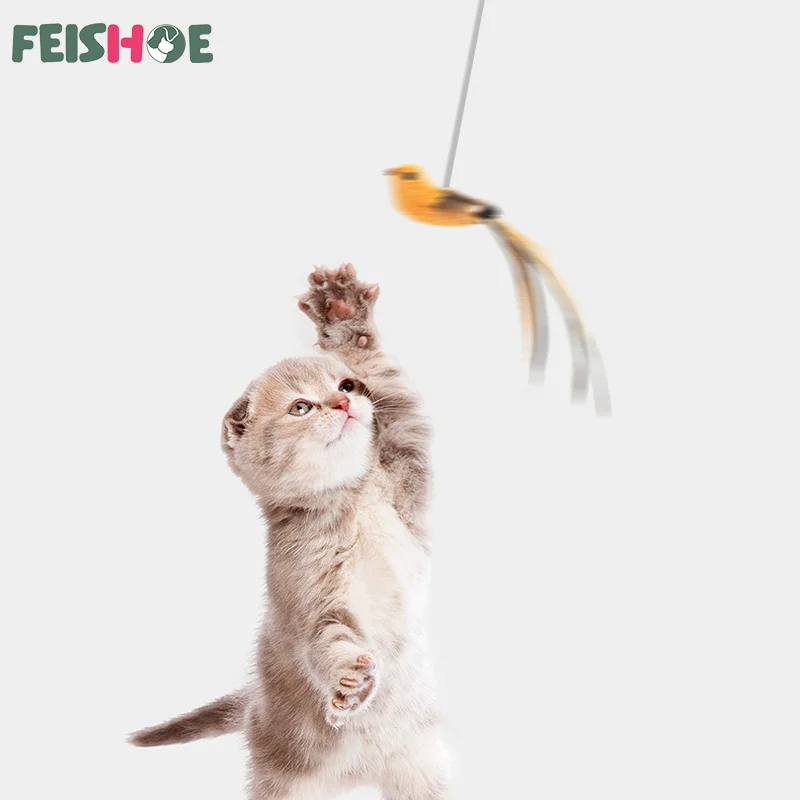 Slide image 3000a22f16cd4d1da10c7d8380647520