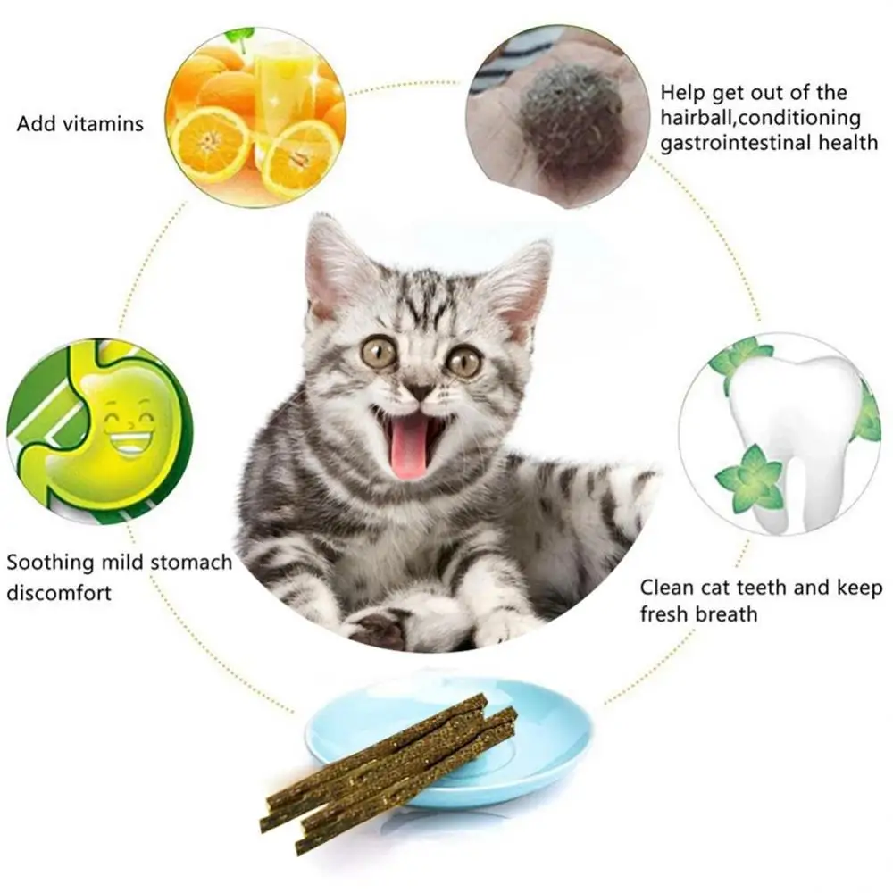 6 Sticks/box Cat Chews Products All Natural Catnip Sticks Wood Tengo Molar Sticks Teeth Cleaning Cat Sticks For Cats Of All Ages