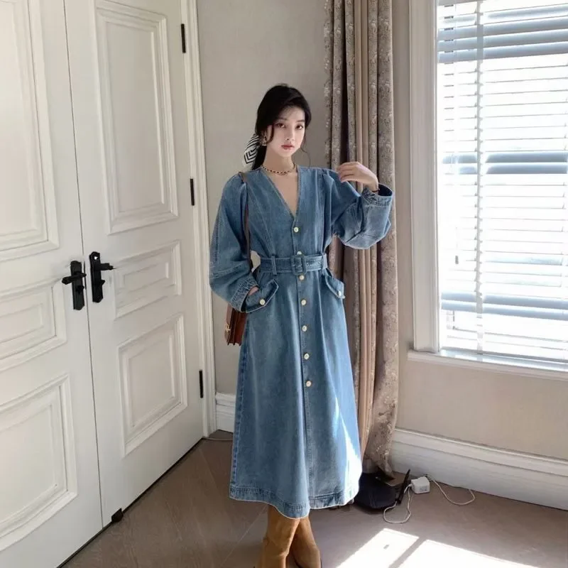 Description Picture 5 of item2023 Spring Autumn New Korean Fashion Cowboy Woman Dress LOOSE Blue Temperament Elegant French Long Sleeved A-line Dresses