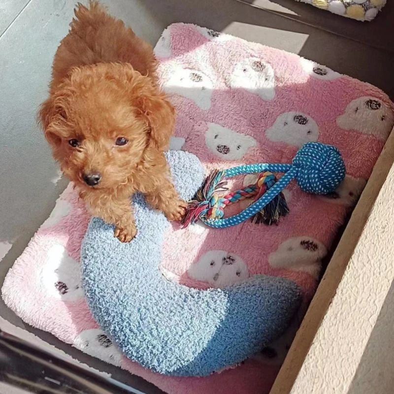 Description Picture 5 of itemCat specific small pillows for pets, dogs, and cats U-shaped pillows, sleeping pads, cat blankets, and warm pet products