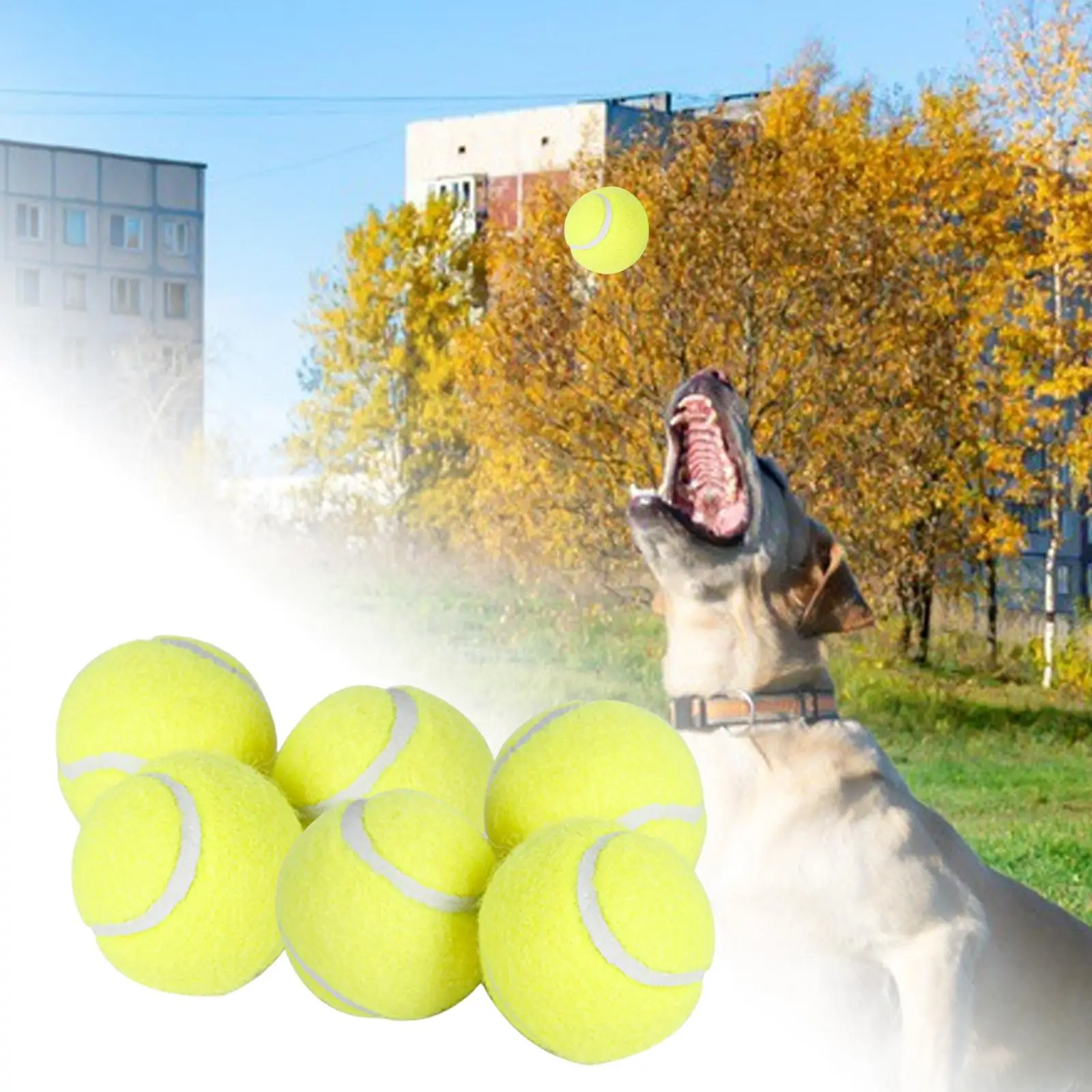 6Pcs Tennis Balls High Bounce Practice Training Outdoor Elasticity Durable Tennis for Dogs Bite Chase and Chomp 5cm Dog Ball