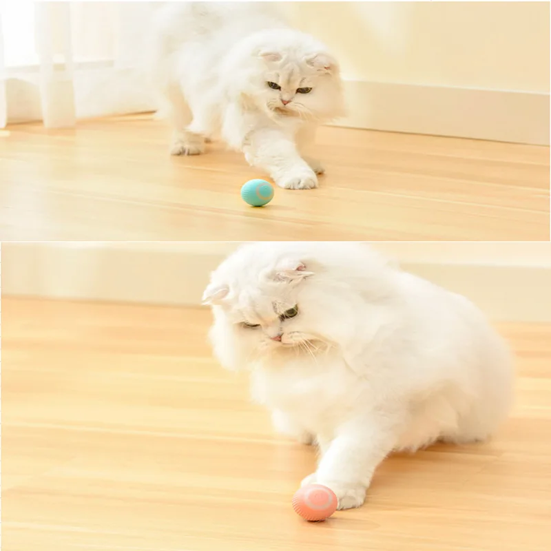 Description Picture 6 of itemTraining Self-moving Kitten Electric Cat Ball Toys Automatic Rolling Smart Cat Toys for Cats Toys for Indoor Interactive Playing