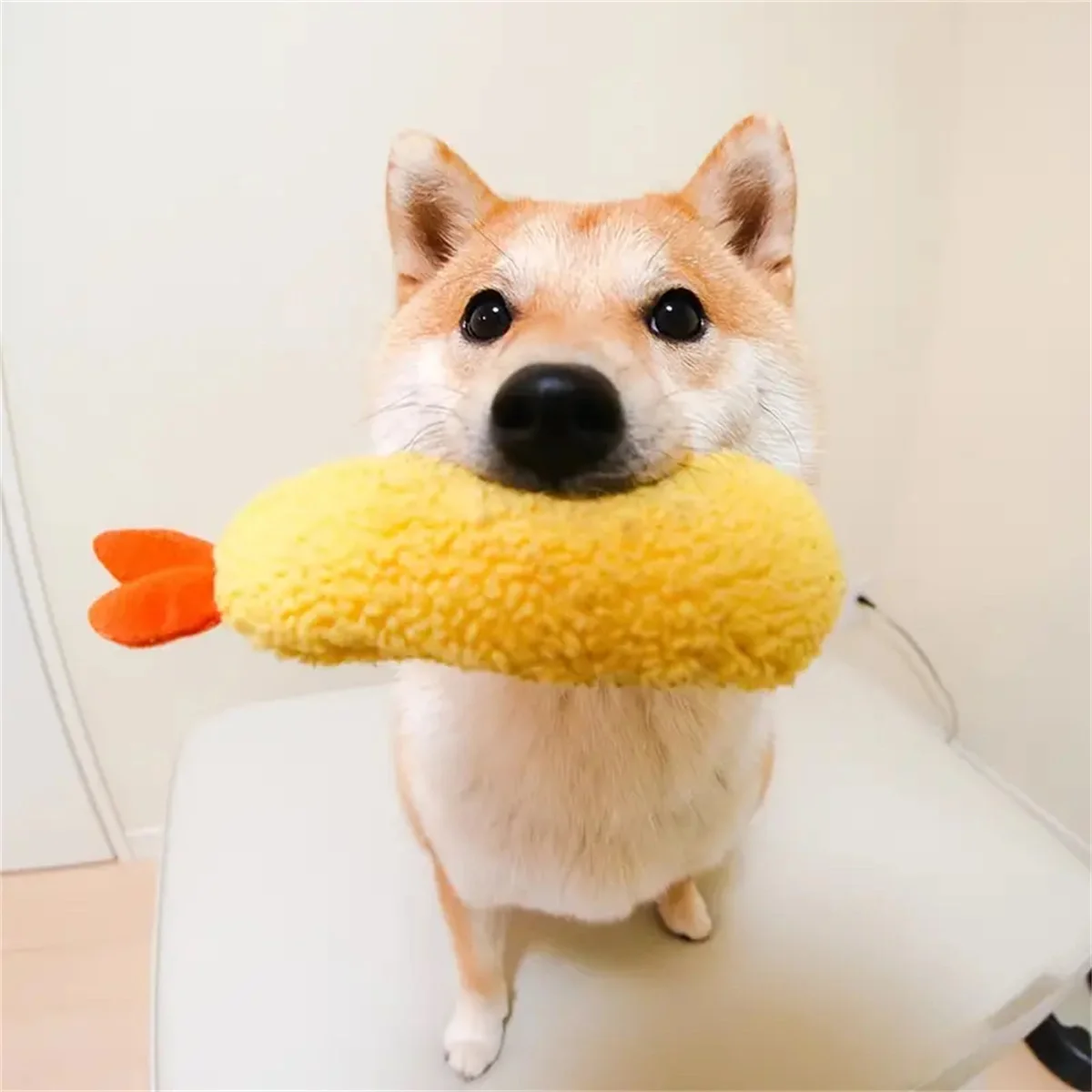 Description Picture 2 of itemFried Shrimp Tempura Dog Pet Chew Bite Squeaky Toy Cute Stuffed For Puppy Play Terrier Hond Shiba Yorkshire Corgi