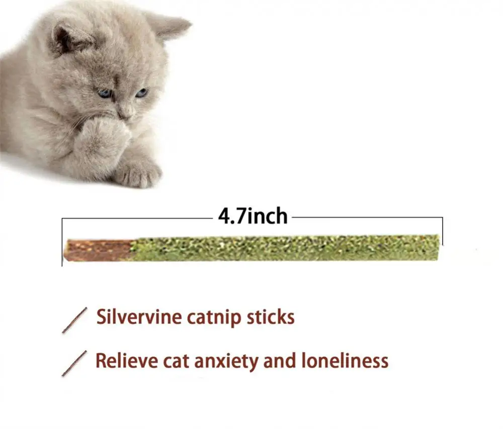 6 Sticks/box Cat Chews Products All Natural Catnip Sticks Wood Tengo Molar Sticks Teeth Cleaning Cat Sticks For Cats Of All Ages