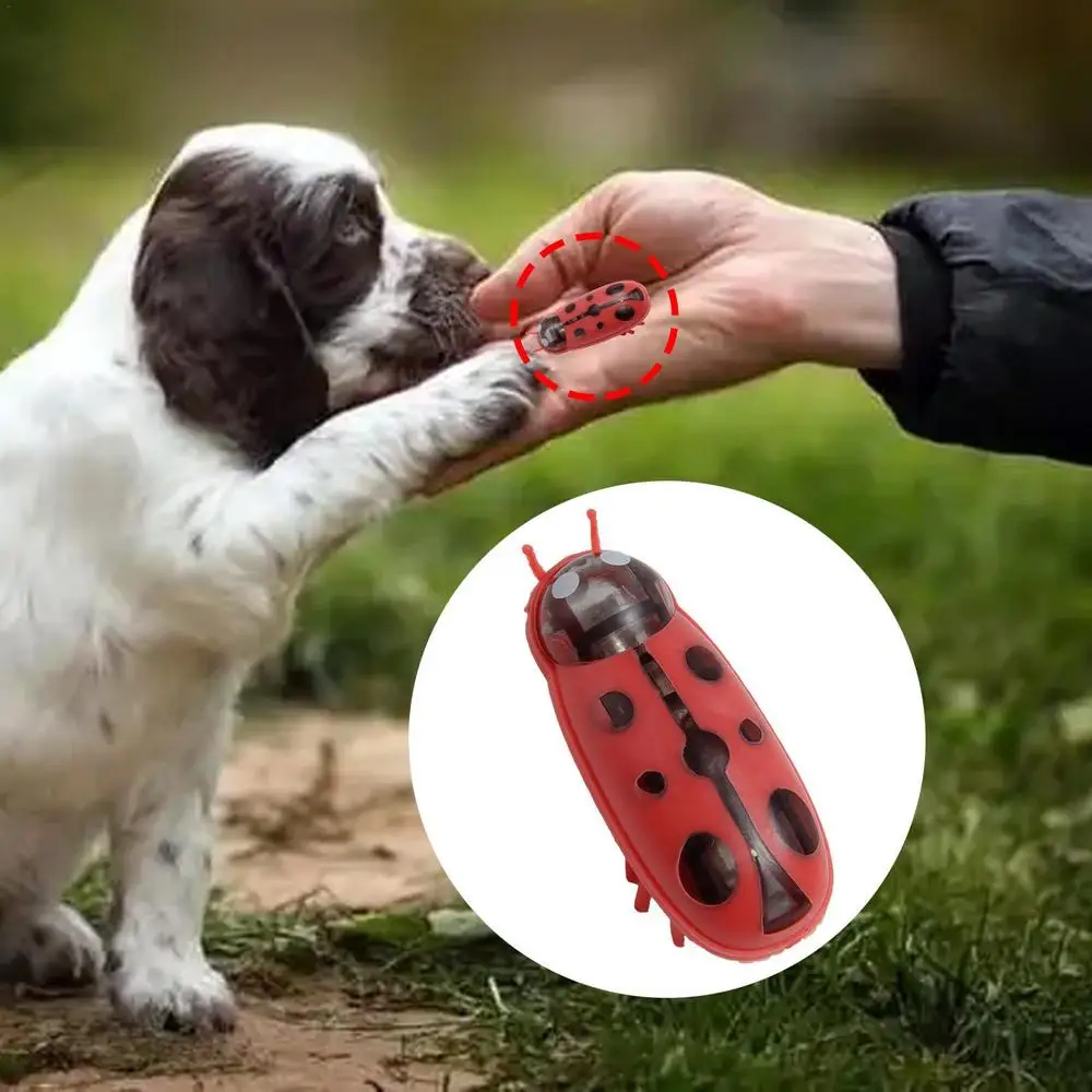 Description Picture 2 of itemCat Bugs Toy Cat Escape Obstacle Automatic Flip Toy Battery Operated Vibration Pet Beetle Playing Toy Mini Robot Bugs dropship