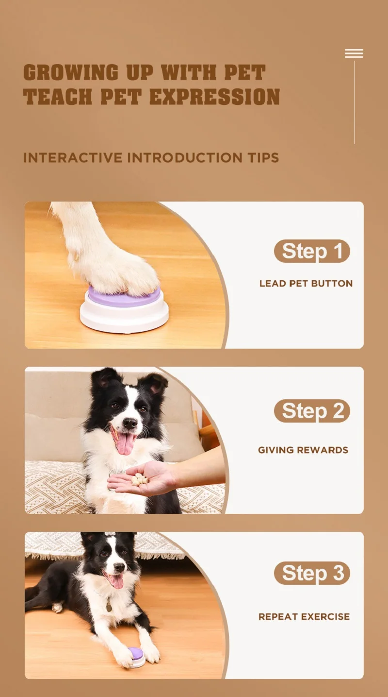 Description Picture 5 of itemVoice Recording Button Dog Toys Recordable Learning Training Communication Talking Speaking Button Pet Interactive Sounding Toys