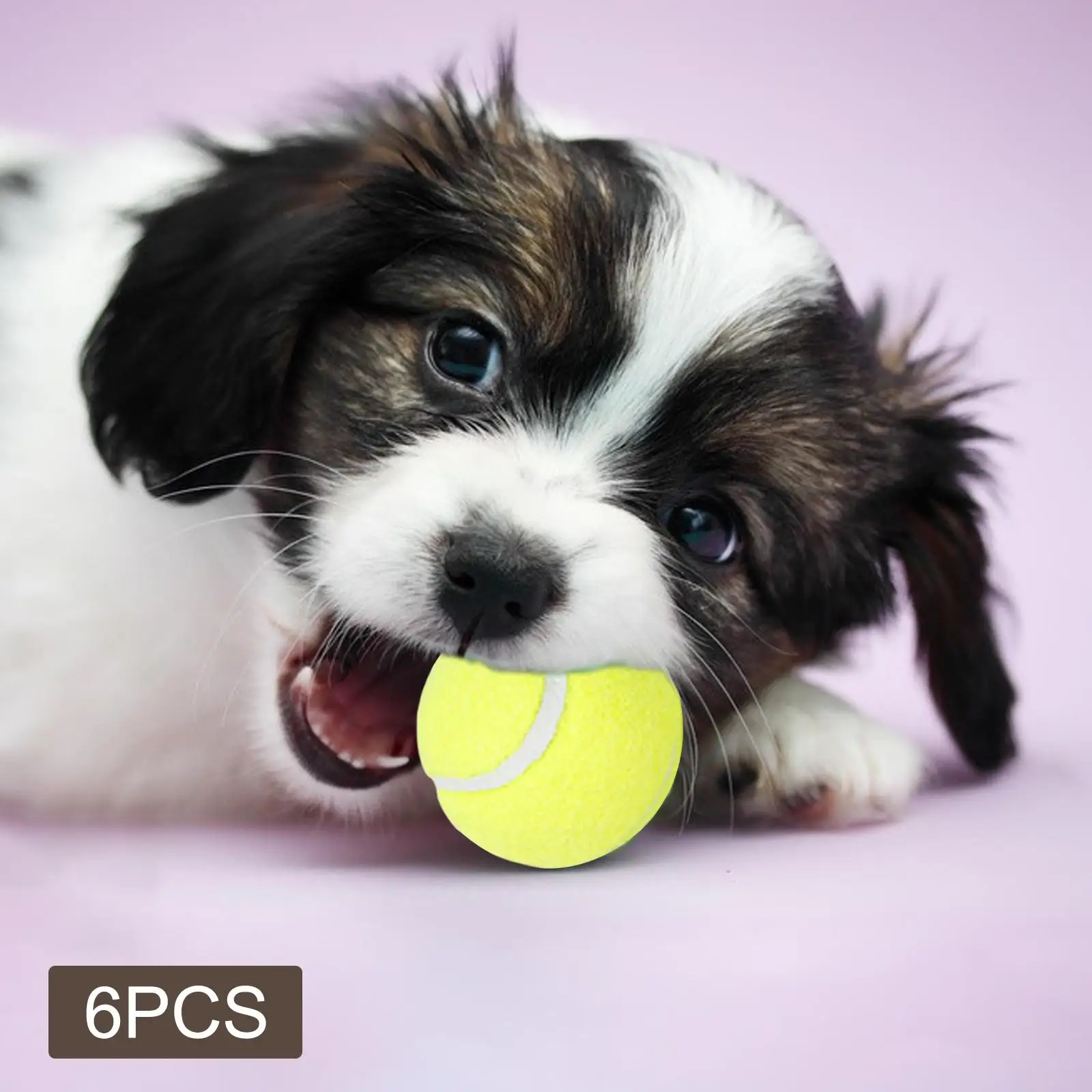 6Pcs Tennis Balls High Bounce Practice Training Outdoor Elasticity Durable Tennis for Dogs Bite Chase and Chomp 5cm Dog Ball