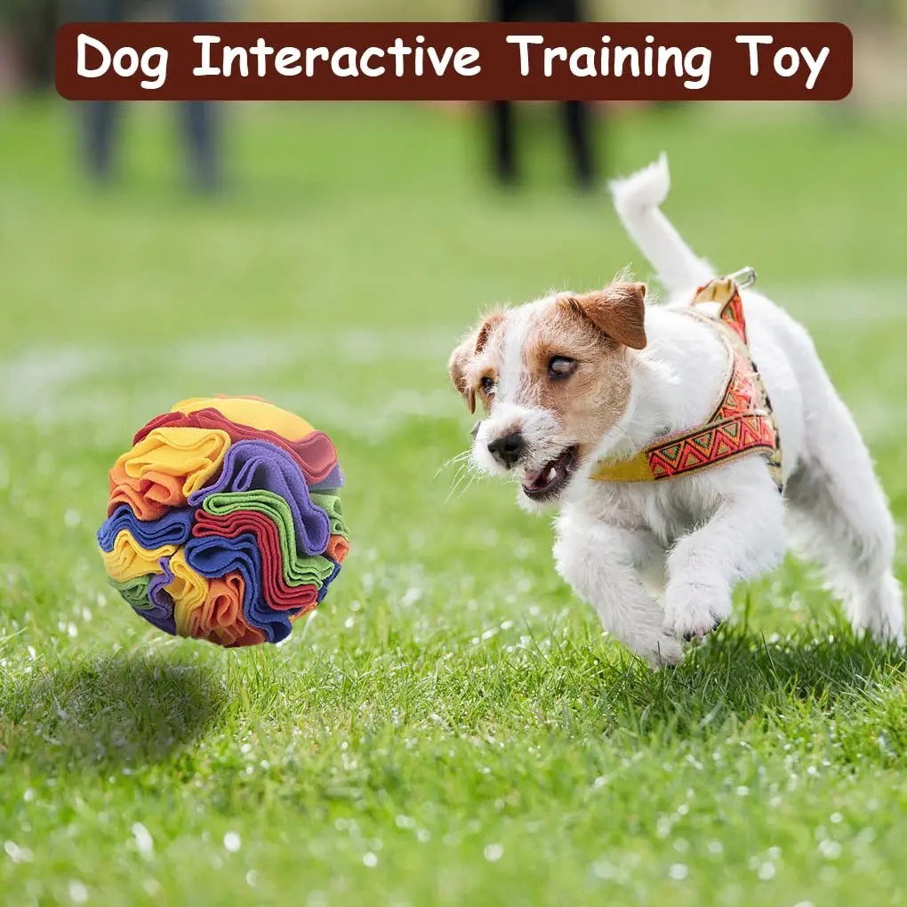 Description Picture 2 of itemDog Sniffing Ball Toy Colorful for Small Dogs Puppy Pet Slow Dispensing Feeder Training Games Dog Nose Sniff Balls