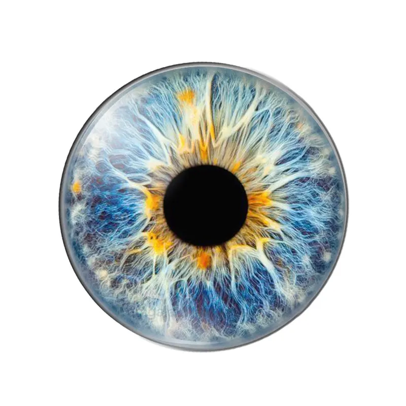 Slide image 03b0ab3339044f63a426f70601ffecee