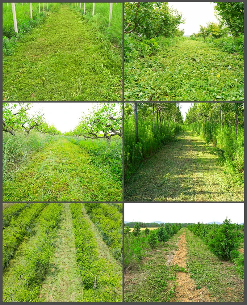 Description Picture 3 of itemGasoline Engine grass cutting machine Robotic Remote Control Lawn Mower