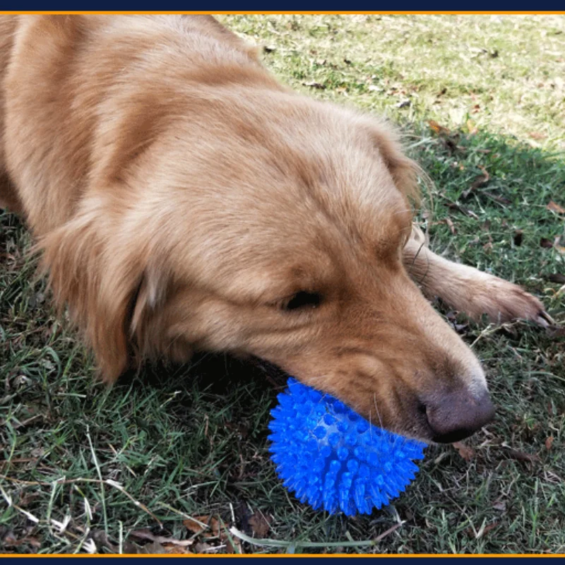Dog Squeaky Toys Flash Ball Jumping Ball Spike Ball Luminous Massage Ball Pet Toys Colorful Soft Pet Puppy мяч для собак