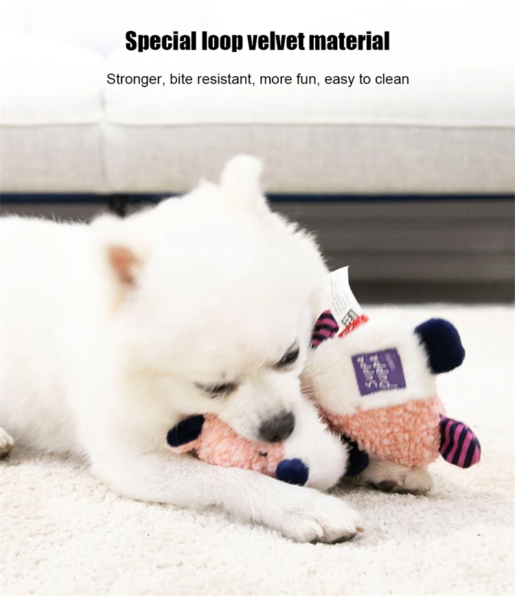 Description Picture 6 of itemGigwi Newest Pet Toys Suppa Puppa Series Sound Paper Molar Teeth Sounding Plush Washable Pet Toys for Dog Puppy