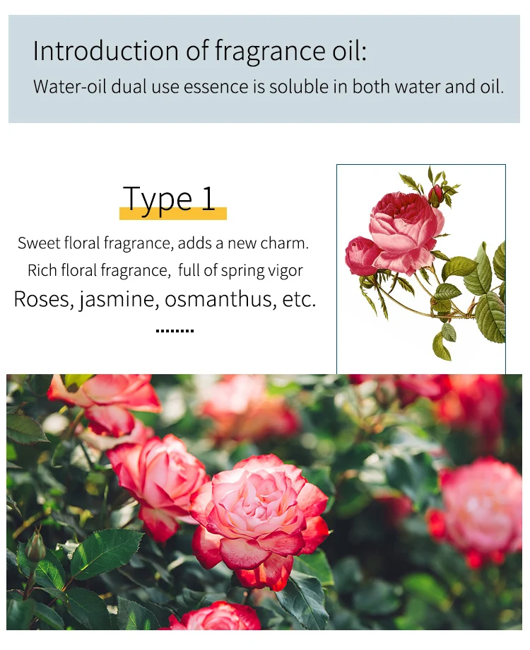 12pcs/box 10ml Vegan Natural Flavoring Oil Scents Essence Oil Drops Liquid Pigment Dyeing Color for Lip Gloss Diy Use