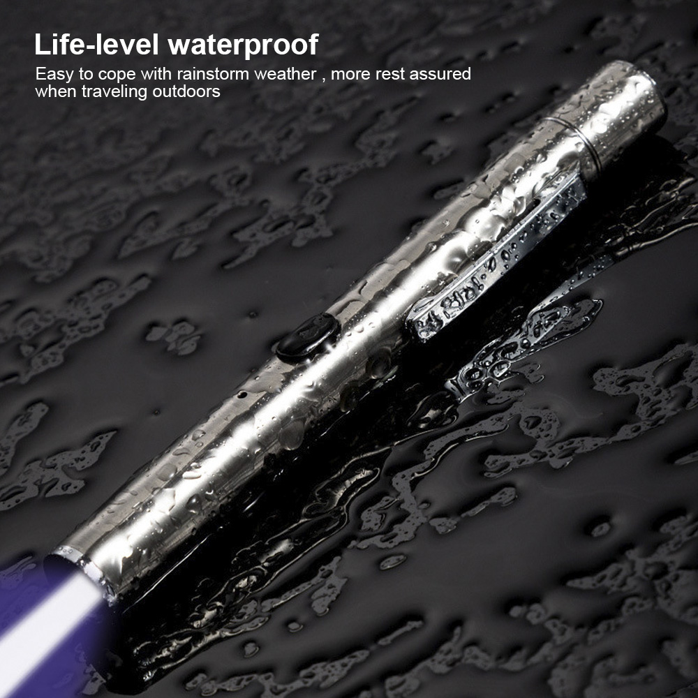 Description Picture 5 of itemPet Fungus Detection Cat Moss Tinea Light Skin Ultraviolet Light Waterproof