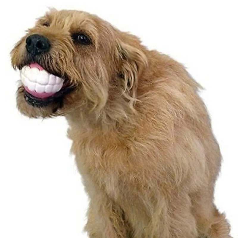 Description Picture 4 of itemPet Dog Puppy Ball Teeth Silicon Chew Toys Sound Novelty Playing Funny Toys Dog Accessories Dog Toys For Large Dogs Игрушки