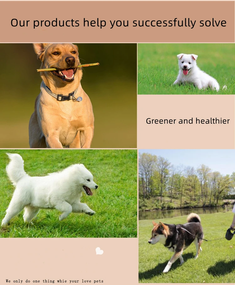 Description Picture 3 of itemRubber Donuts Dog Squeaky Toy Ice Cream Shape Interactive Toys Bite-Resistant For Small Dog Molar Clean Teeth Puppy Chew Toy