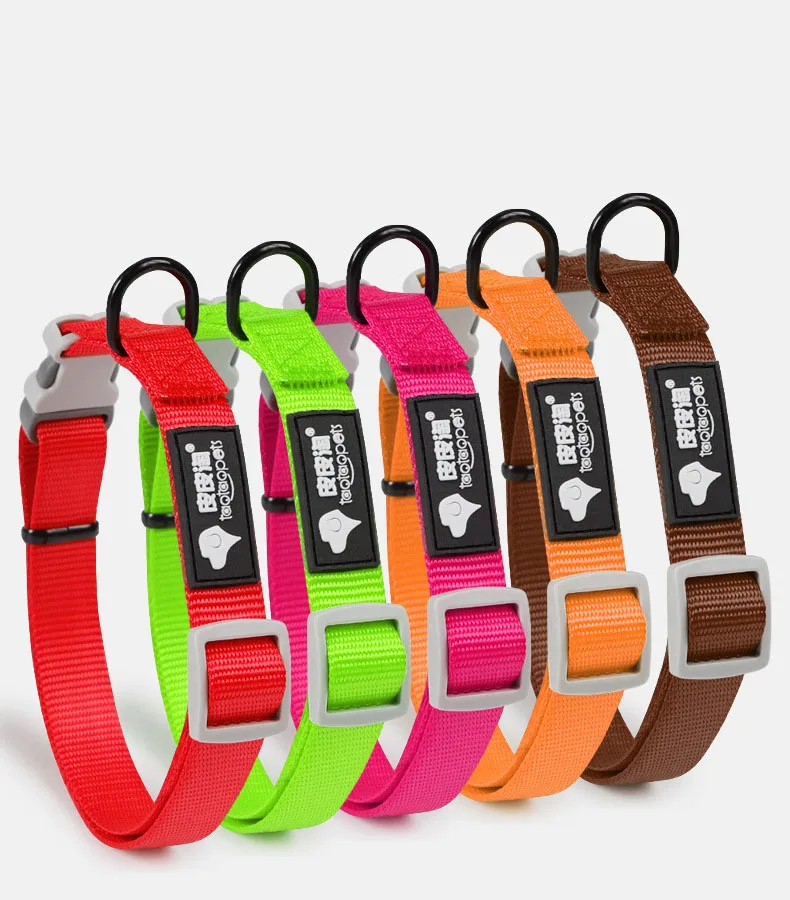 Description Picture 2 of itemPet collar with tracks Colorful Dog Puppy Cat Accessories Kitten collar Adjustable safety necklace for pets