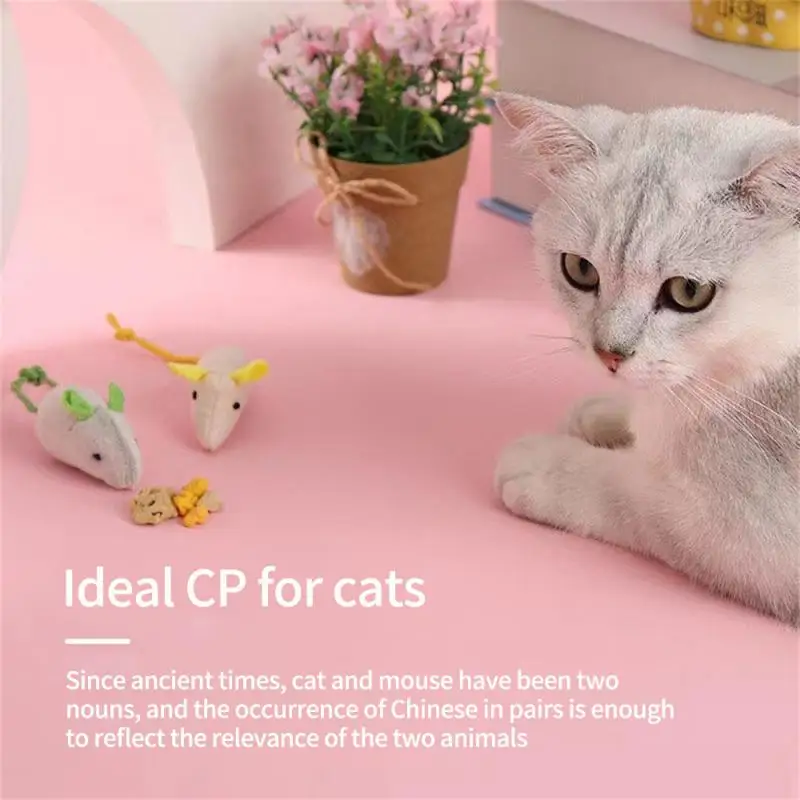 Kitten Toy Cute Modeling Creative Home Accessories Mouse Toy Interactive New Pet Supplies Cat Toy Bite Resistance Pet Products