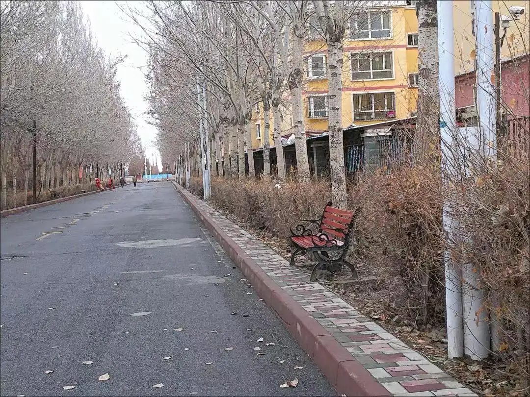 Description Picture 6 of itemOriginal CDR10 4K HD Professional Digital Cameras With 16X Wide Angle Lens Camera Macro HD Camera With WiFi Time-lapse Shooting