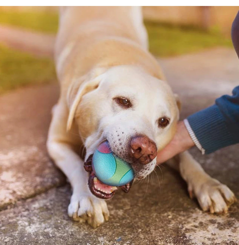Pet Dog Toys Bite Resistant Bouncy Ball Toys for Small Medium Large Dogs Tooth Cleaning Ball Dog Chew Toys Pet Training Products