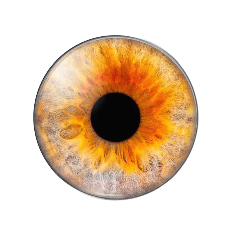 Slide image 658865c613be47629ee7d59e6bc2a4a0